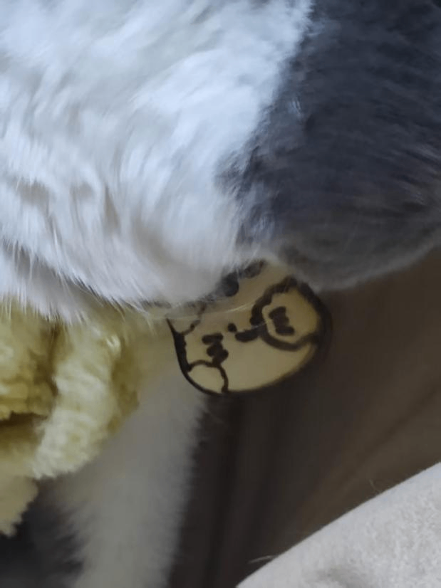 1743642655895711.png