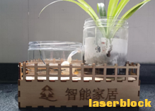 智能兰花养护系统1