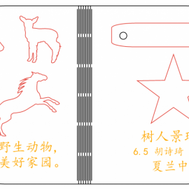 关爱野生动物，保护美好家园