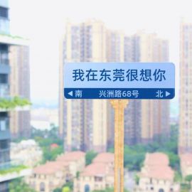 “网红路牌”创意设计比赛